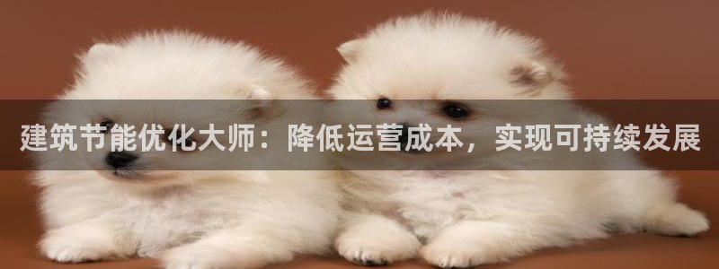 e尊国际可靠吗：建筑节能优化大师：降低运营成本，实现可持续发展