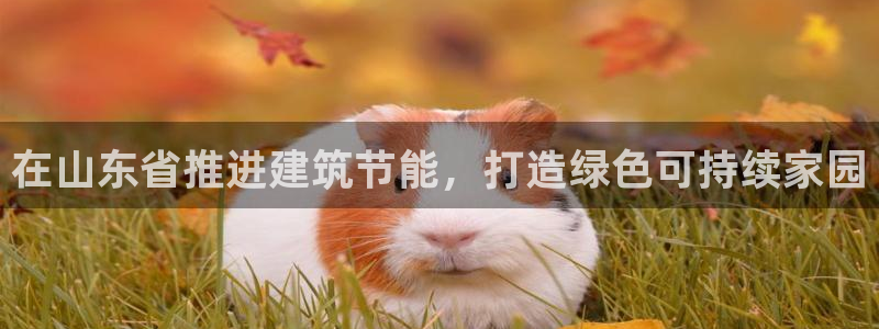 e尊国际app：在山东省推进建筑节能，打造绿色可持续家园
