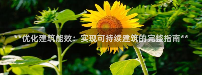 e尊国际官网app：**优化建筑能效：实现可持续建筑的完整指南**