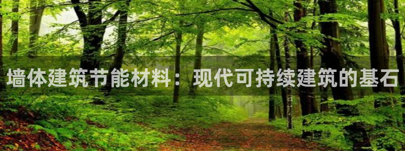 e尊国际官方网站：墙体建筑节能材料：现代可持续建筑的基石