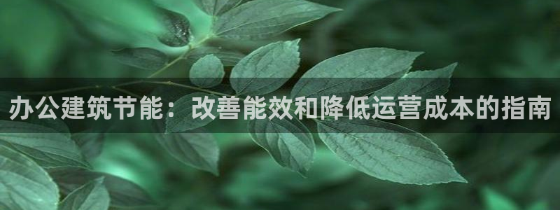 e尊国际娱乐官网地址：办公建筑节能：改善能效和降低运营成本的指南