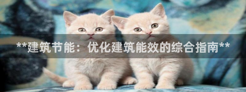 e尊国际平台：**建筑节能：优化建筑能效的综合指南**