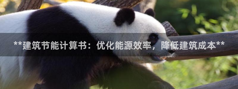 e尊电竞：**建筑节能计算书：优化能源效率，降低建筑成本**