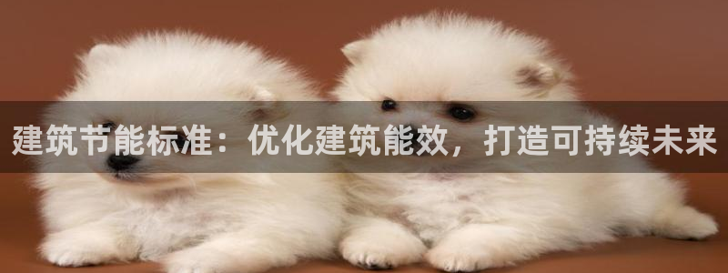 e尊官网：建筑节能标准：优化建筑能效，打造可持续未来