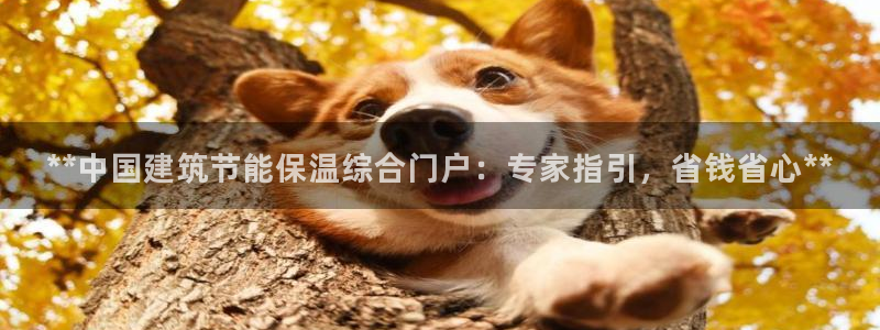 e尊国际可靠吗：**中国建筑节能保温综合门户：专家指引，省钱省心**