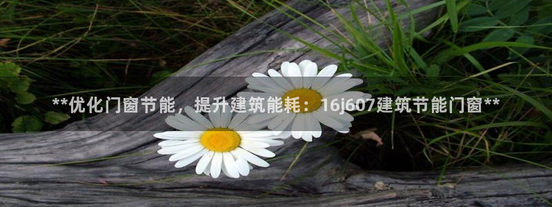 e尊国际是干什么的：**优化门窗节能，提升建筑能耗：16j607建筑节能门窗**