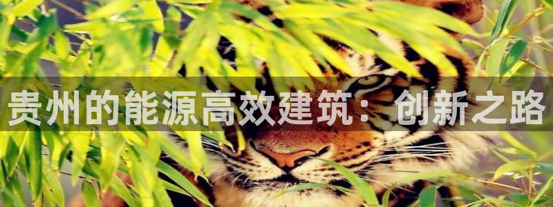 e尊国际的手机登录网站：贵州的能源高效建筑：创新之路