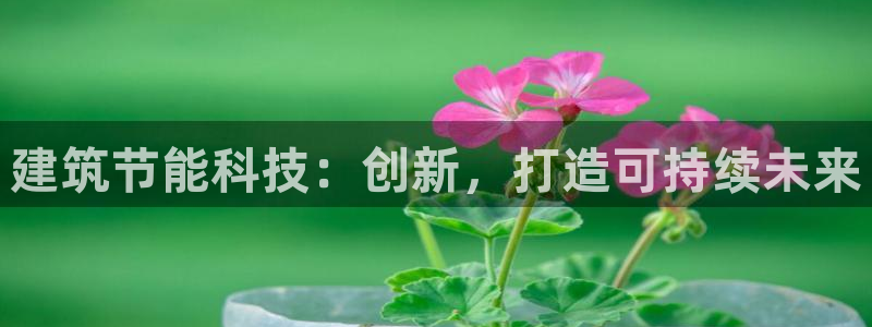 e尊国际的手机登录网站：建筑节能科技：创新，打造可持续未来