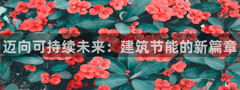 e尊平台：迈向可持续未来：建筑节能的新篇章