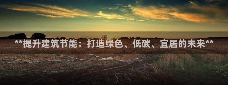 e尊国际-e尊国际官网：**提升建筑节能：打造绿色、低碳、宜居的未来**