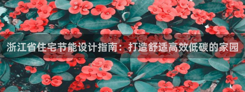 E尊国际网站：浙江省住宅节能设计指南：打造舒适高效低碳的家园