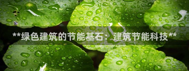 e尊国际7779：**绿色建筑的节能基石：建筑节能科技**