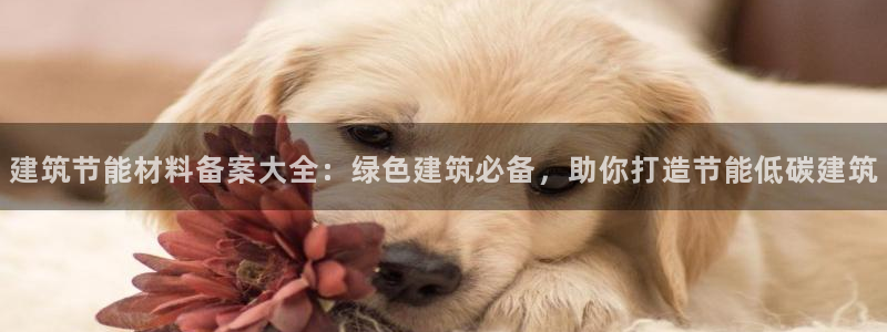 e尊国际7779：建筑节能材料备案大全：绿色建筑必备，助你打造节能低碳建筑