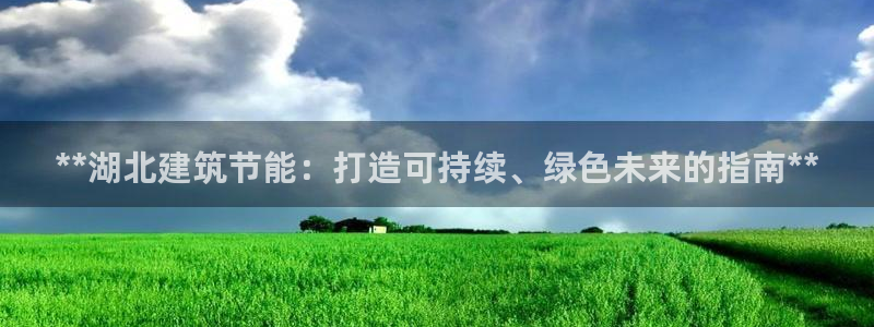 e尊国际是个黑网：**湖北建筑节能：打造可持续、绿色未来的指南**