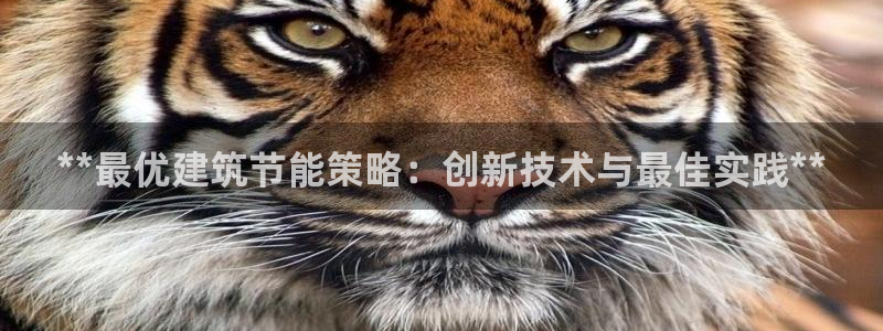 e尊国际客户端下载：**最优建筑节能策略：创新技术与最佳实践**