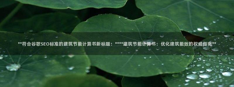 e尊国际娱乐官网地址：**符合谷歌SEO标准的建筑节能计算书新标题：****建筑节能计算书：优化建筑能效的权威指南**