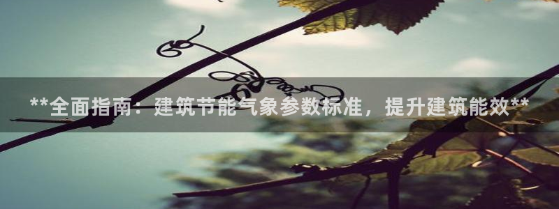 e尊国际是干什么的