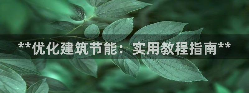 e尊国际-e尊国际官网：**优化建筑节能：实用教程指南**