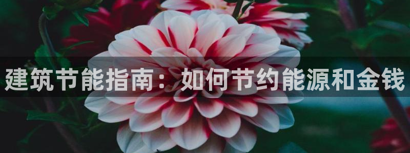 e尊国际网址：建筑节能指南：如何节约能源和金钱
