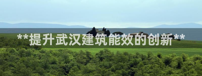 e尊国际是干什么的：**提升武汉建筑能效的创新**