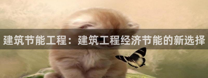 e尊国际是干什么的：建筑节能工程：建筑工程经济节能的新选择