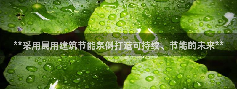 e尊国际官网：**采用民用建筑节能条例打造可持续、节能的未来**