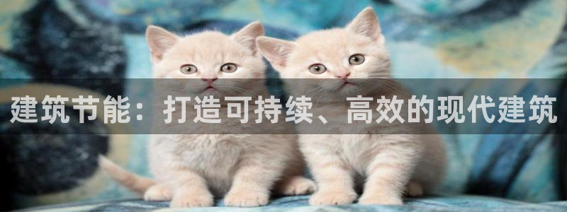 e尊国际-可可计划：建筑节能：打造可持续、高效的现代建筑