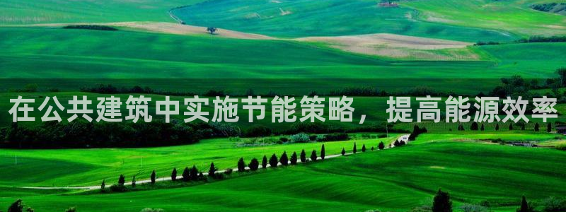 e尊国际客户端下载：在公共建筑中实施节能策略，提高能源效率