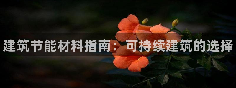 e尊平台：建筑节能材料指南：可持续建筑的选择