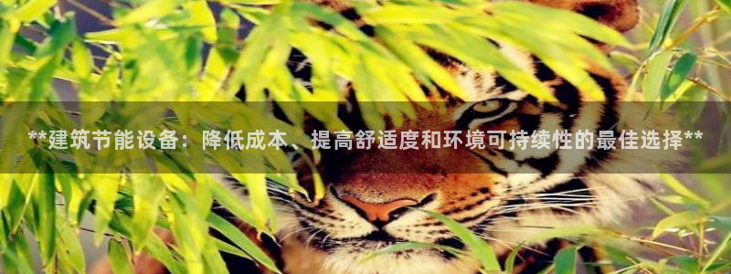 E尊国际网站：**建筑节能设备：降低成本、提高舒适度和环境可持续性的最佳选择**
