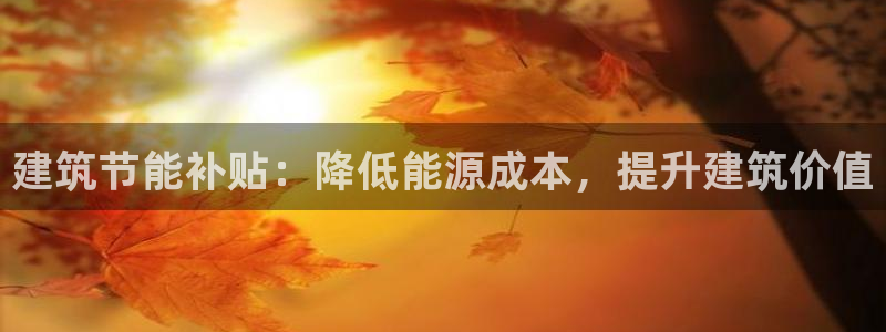 e尊国际app：建筑节能补贴：降低能源成本，提升建筑价值