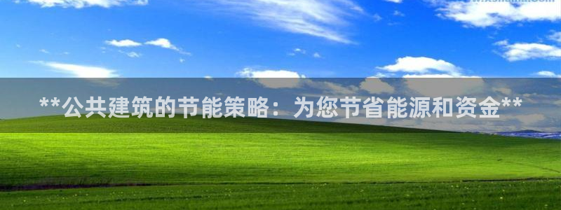 e尊国际客户端：**公共建筑的节能策略：为您节省能源和资金**