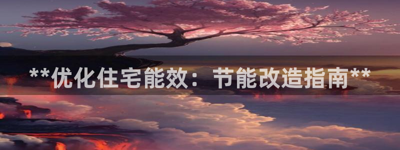 e尊国际是干什么的：**优化住宅能效：节能改造指南**