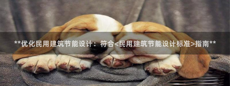 e尊电竞：**优化民用建筑节能设计：符合<民用建筑节能设计标准>指南**