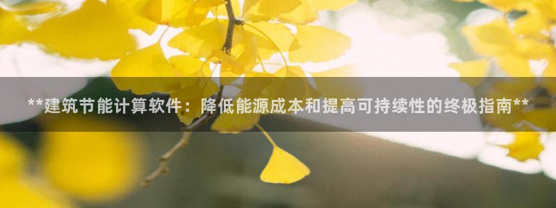 e尊国际官网：**建筑节能计算软件：降低能源成本和提高可持续性的终极指南**