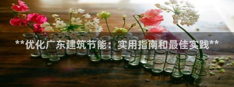 e尊国际官方网站：**优化广东建筑节能：实用指南和最佳实践**