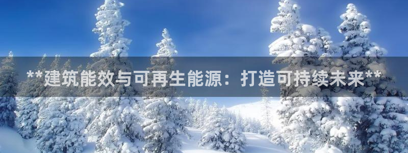e尊国际官网：**建筑能效与可再生能源：打造可持续未来**