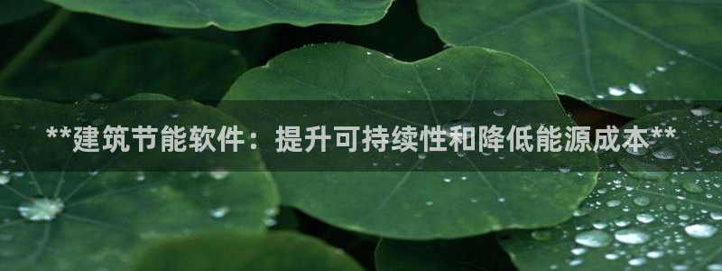 e尊国际平台：**建筑节能软件：提升可持续性和降低能源成本**