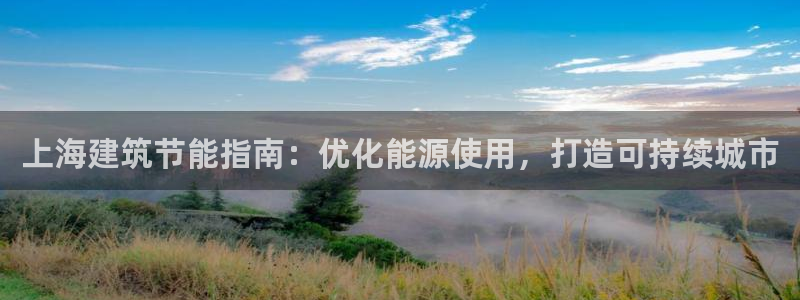 e尊国际的手机登录网站：上海建筑节能指南：优化能源使用，打造可持续城市