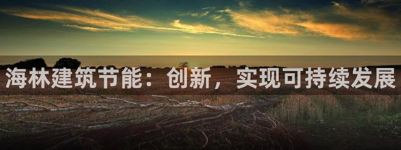 尊亿游戏国际官网：海林建筑节能：创新，实现可持续发展