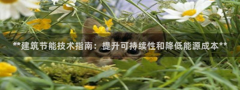 e尊国际官网app：**建筑节能技术指南：提升可持续性和降低能源成本**