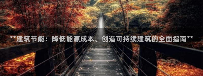 e尊国际客户端：**建筑节能：降低能源成本、创造可持续建筑的全面指南**