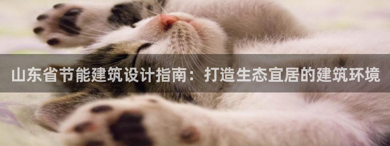 尊亿娱乐国际官网：山东省节能建筑设计指南：打造生态宜居的建筑环境