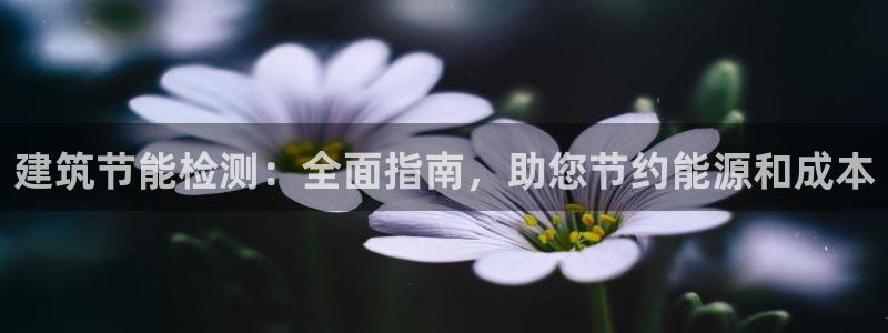尊亿游戏国际官网：建筑节能检测：全面指南，助您节约能源和成本