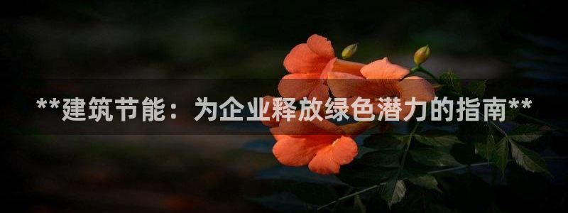 e尊国际-e尊国际官网