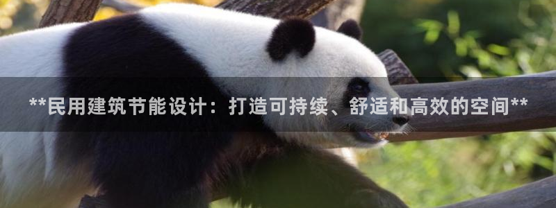 e尊国际平台：**民用建筑节能设计：打造可持续、舒适和高效的空间**