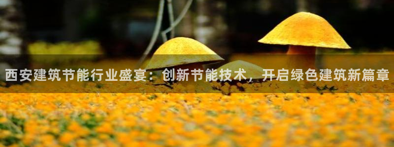 e尊国际娱乐官网地址：西安建筑节能行业盛宴：创新节能技术，开启绿色建筑新篇章