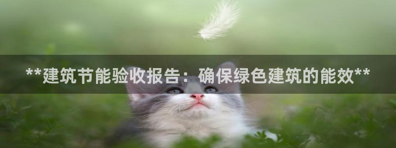 e尊平台：**建筑节能验收报告：确保绿色建筑的能效**