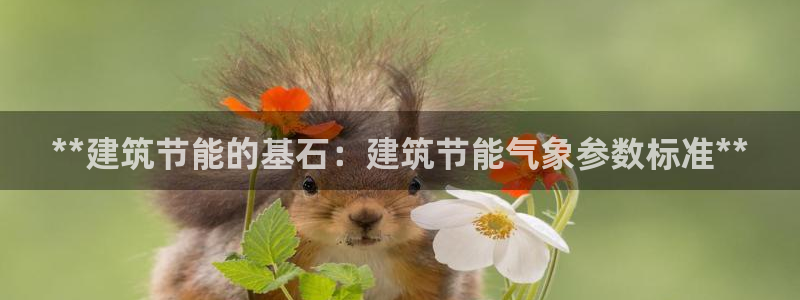 e尊国际平台：**建筑节能的基石：建筑节能气象参数标准**