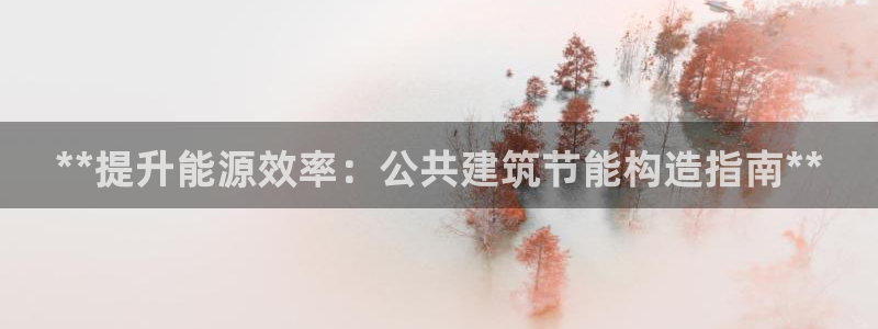 e尊国际娱乐官网地址：**提升能源效率：公共建筑节能构造指南**